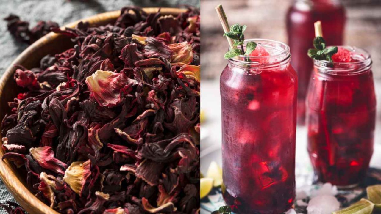 Beneficios y propiedades curativas de la jamaica que debes conocer para tu salud