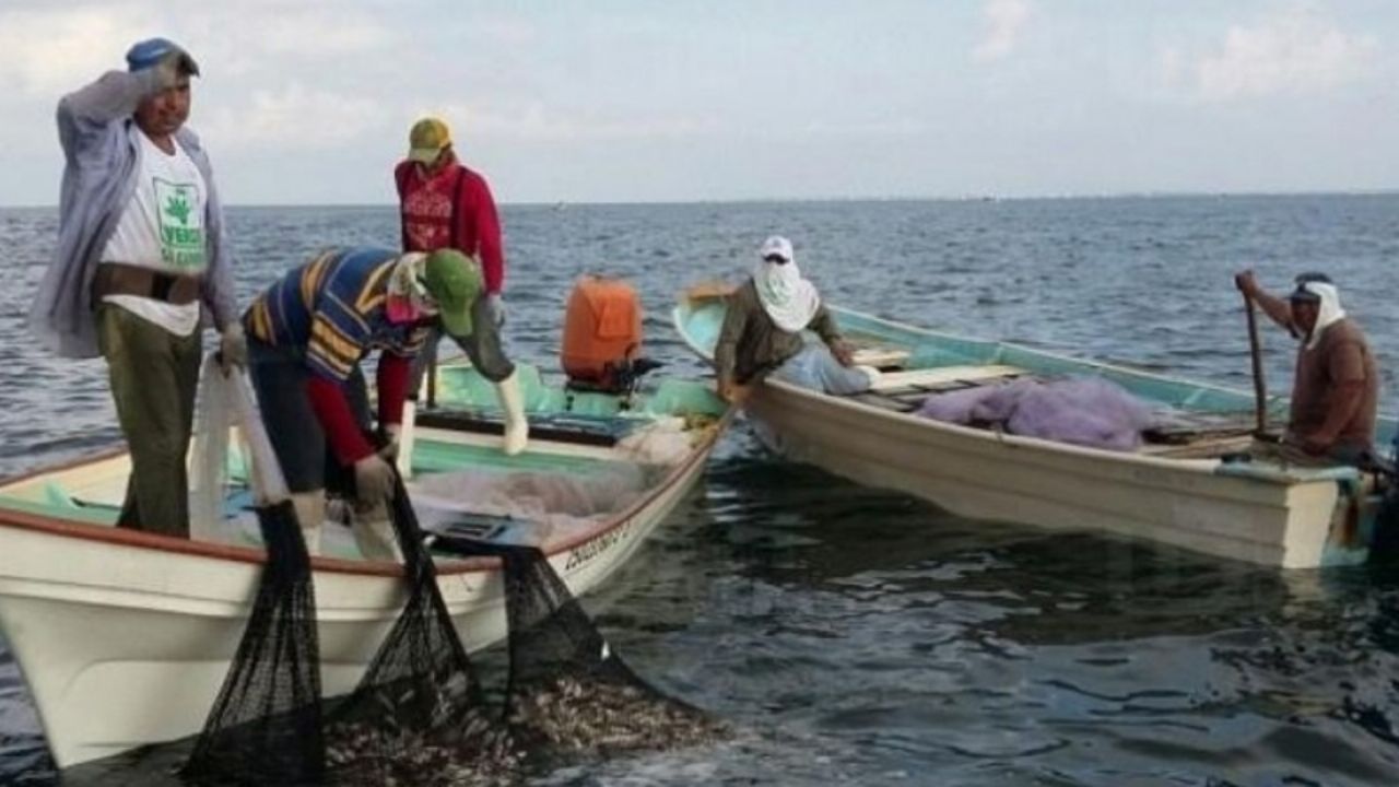 Guaymas: Advierten que el Congreso busca criminalizar al sector pesquero