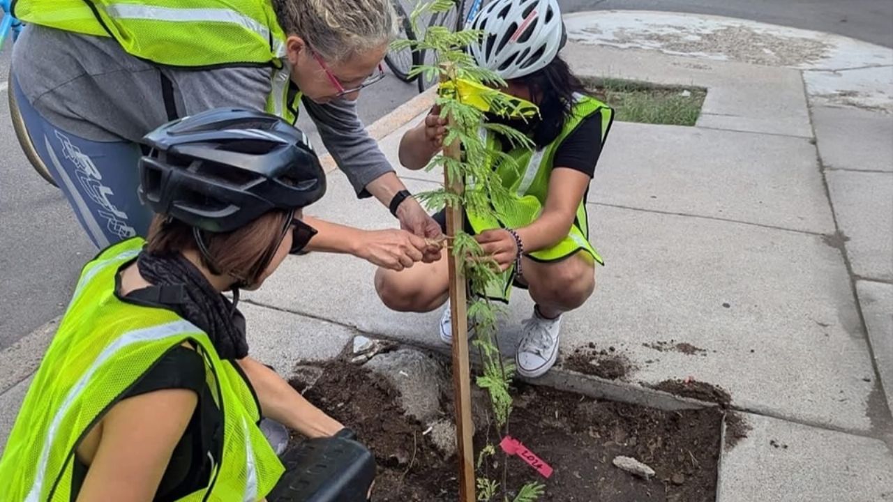 Caminantes del Desierto promueve la creación de más andadores verdes en Hermosillo