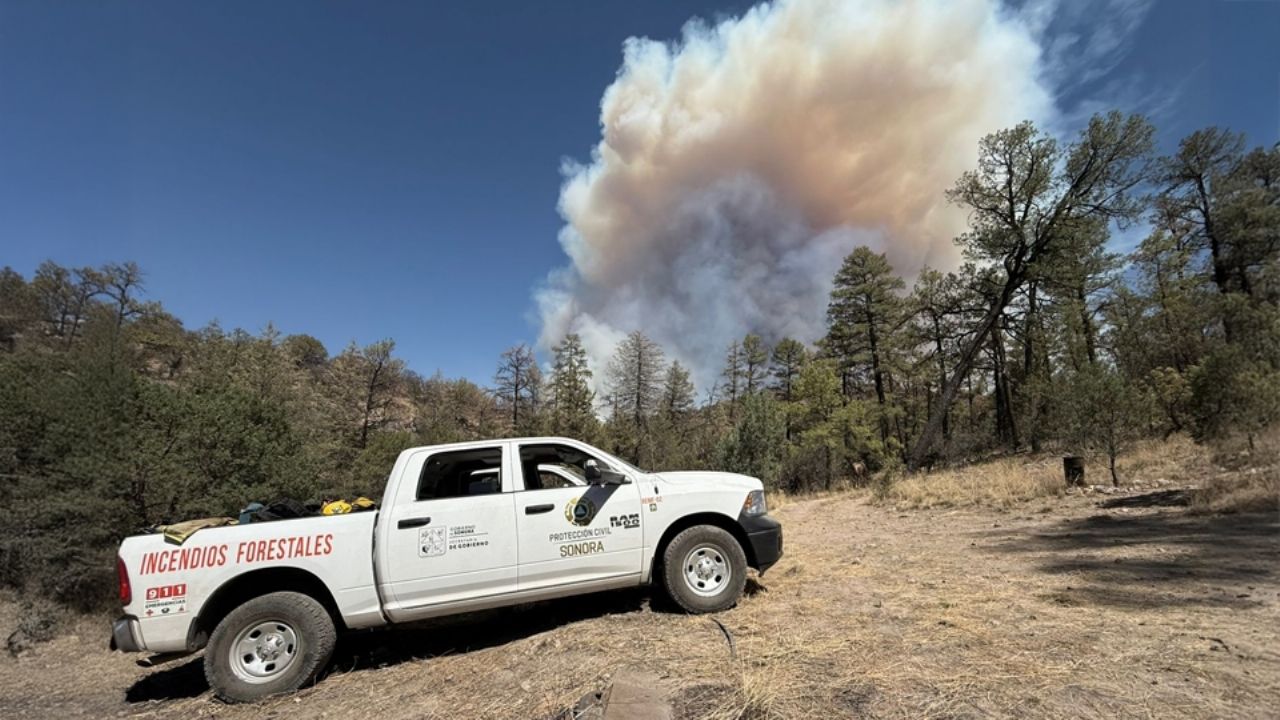 Incendio forestal consume 2 mil hectáreas en Agua Prieta; logran apagar 80% del fuego