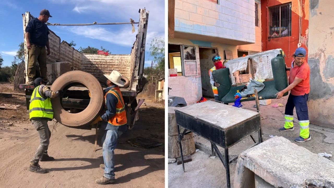 Eliminan toneladas de cacharros cada semana en Cajeme para evitar enfermedades