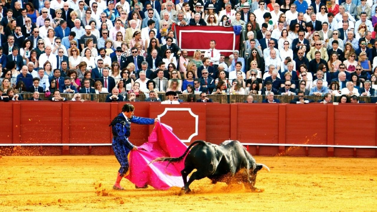 Plaza de Toros México considera inviable realizar corridas de toros con nueva legislación