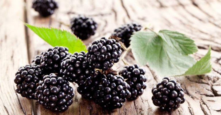 Las moras congeladas mantienen vitaminas y antioxidantes
