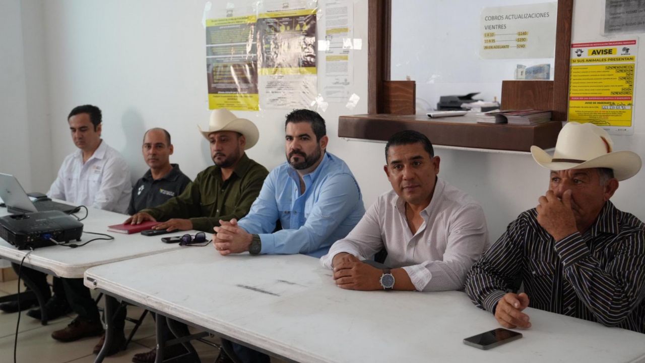 Ganaderos de la región del Mayo en alerta por gusano barrenador