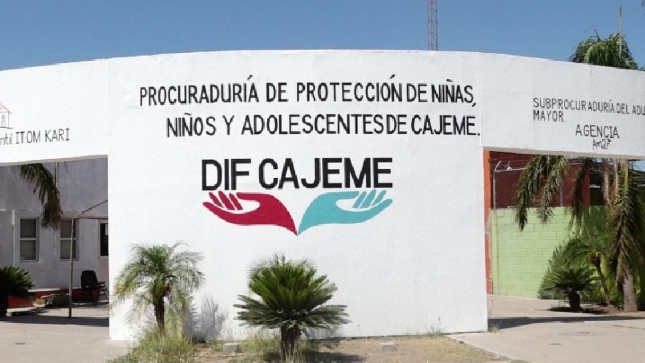 Aumenta número de solicitudes de adopción en albergue ‘Itom Kary’ de Ciudad Obregón