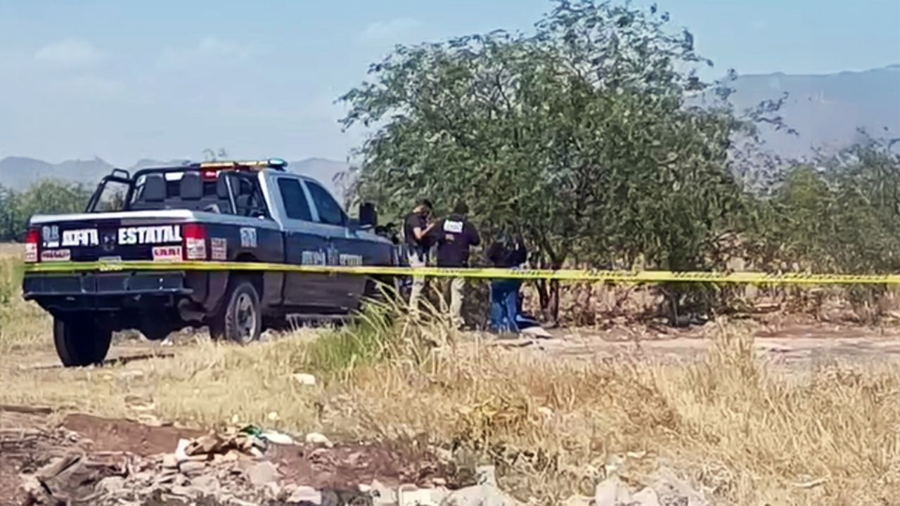 Ciudad Obregón: Hallan a persona sin vida en predio del fraccionamiento Real del Bosque