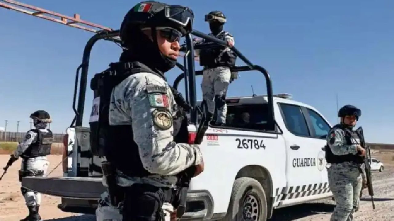 Guardia Nacional asegura bolsas de cocaína ocultas dentro de piezas de pan en Jalisco