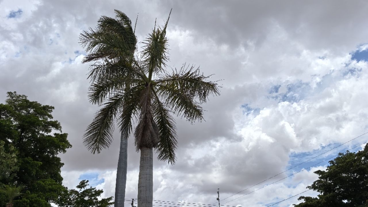 Calor extremo y posibles lluvias marcan el inicio de julio en el sur de Sonora: Conagua