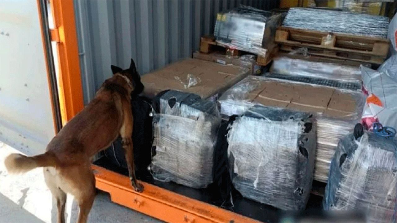 BCS: Incautan 200 kilos de cocaína ocultos entre la mercancía de un contenedor en Ensenada