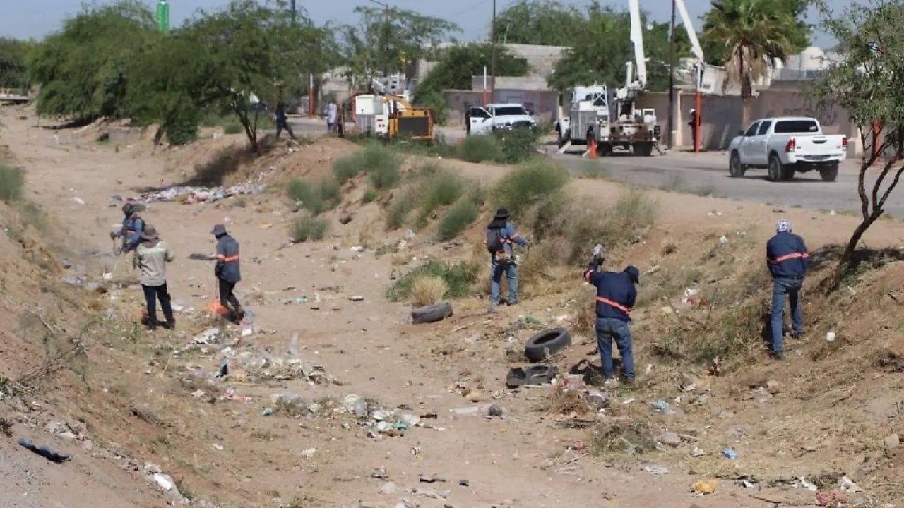 Abejas pican a 15 trabajadores municipales de Hermosillo cuando limpiaban canal en Pueblitos