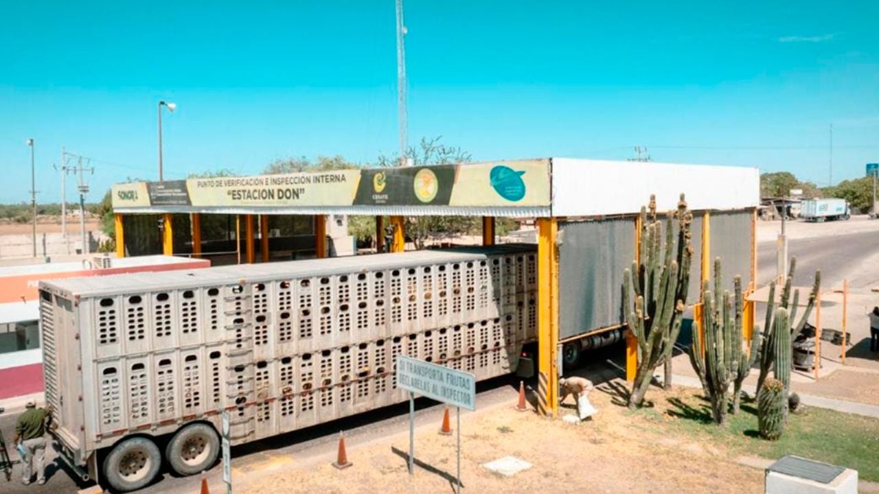 ENTREVISTA: Reapertura de frontera de Agua Prieta, triunfo de productores sonorenses: Juan González