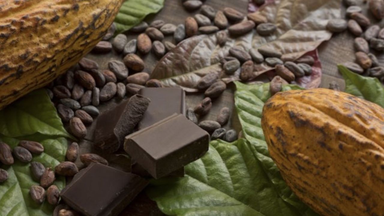 Día Mundial del Cacao y el Chocolate: Origen y por qué se conmemora HOY 7 de julio