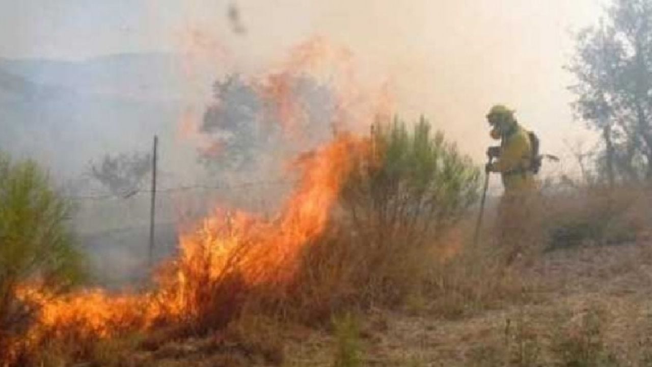 Incendios forestales elevan en 50% el gasto operativo de Bomberos Voluntarios de Guaymas