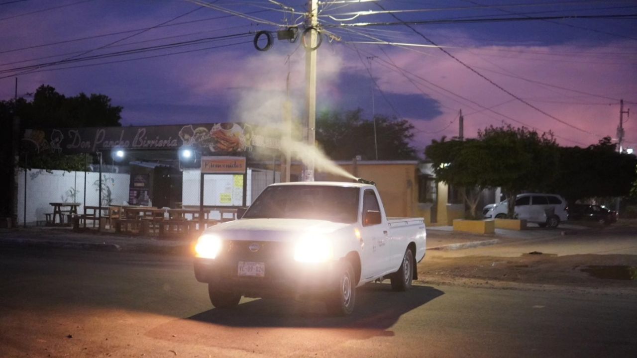 Huatabampo blinda sus colonias contra el mosquito transmisor del dengue