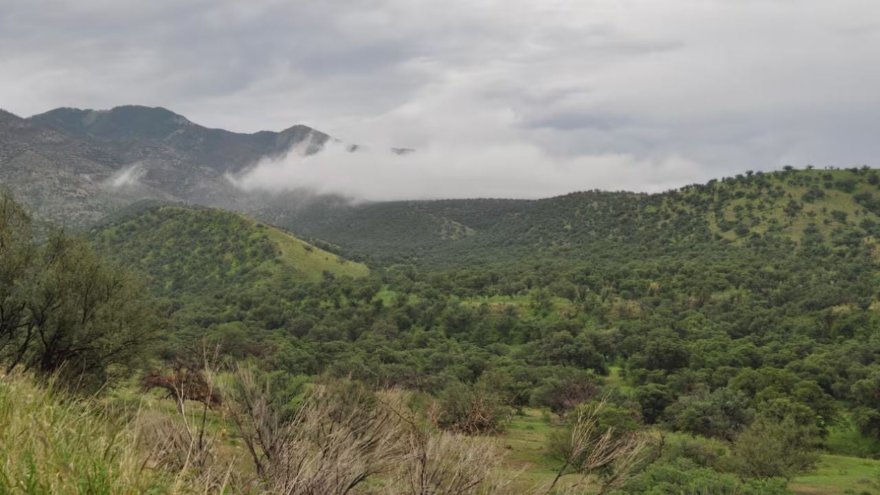 Conagua: Monzón mexicano provocará lluvias fuertes y descargas eléctricas en Sonora HOY