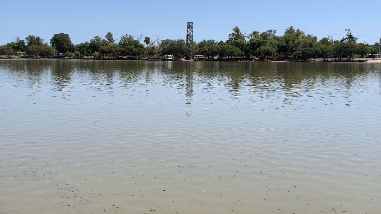 Laguna del Náinari alcanza nivel óptimo por nueva estrategia de conservación en Cajeme