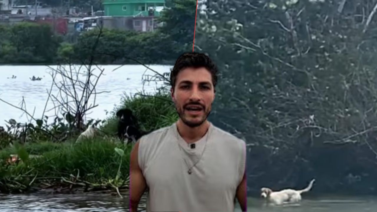 Isla del Abandono: Islote en Veracruz se ve envuelto en caso de maltrato animal