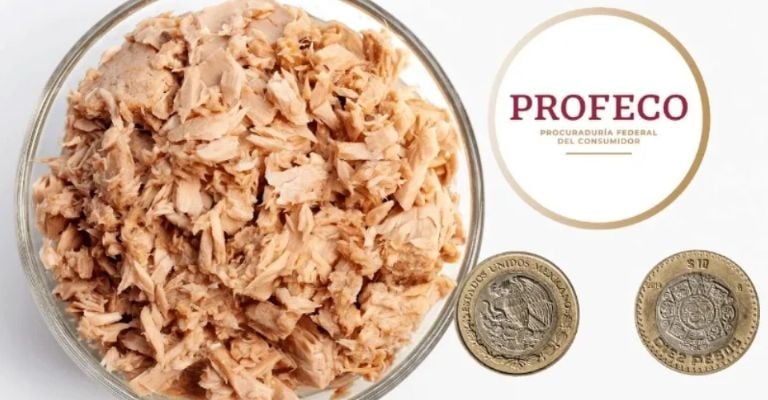 Descubre el mejor atún del mercado