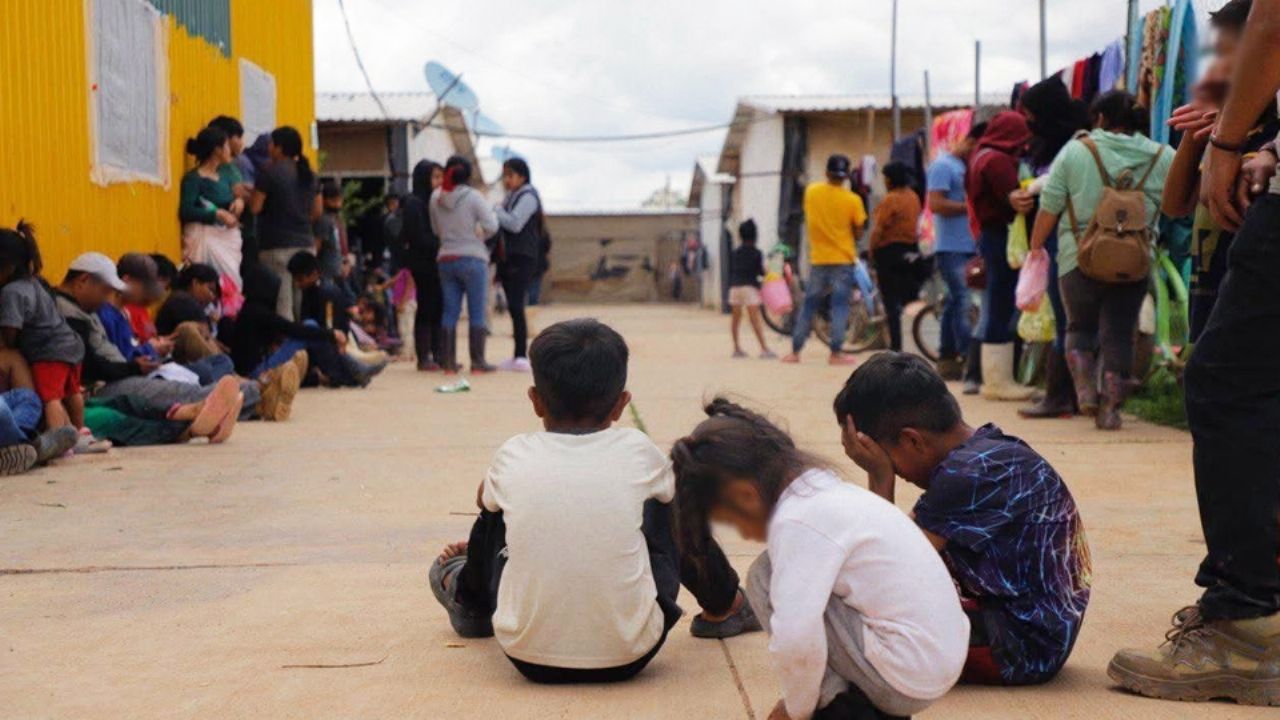 Esclavitud moderna: Rescatan a 700 víctimas de explotación laboral en rancho de Guanajuato