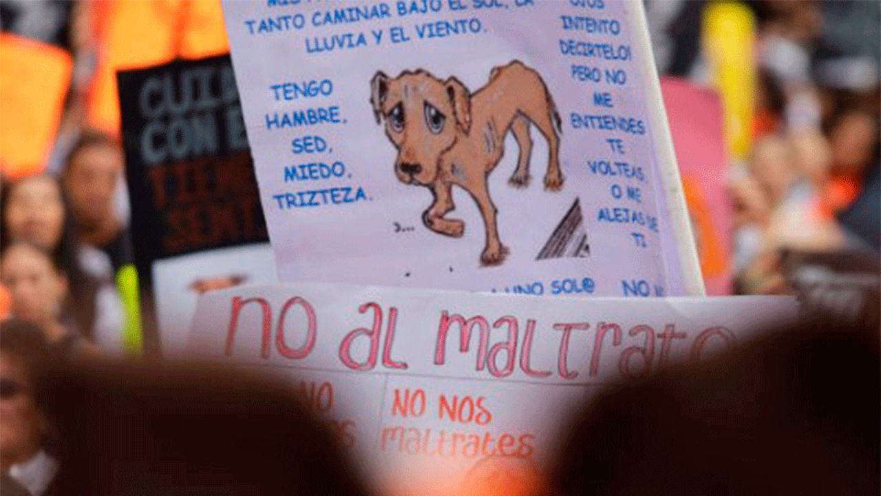 Tráfico en CDMX: Se espera caos por marchas y bloqueos este 13 de julio en la capital