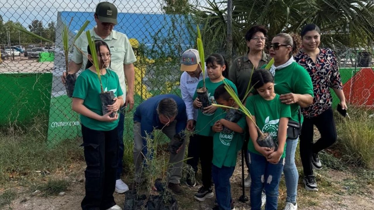 Avanzan los trabajos para reforestar el primer bosque urbano en Navojoa