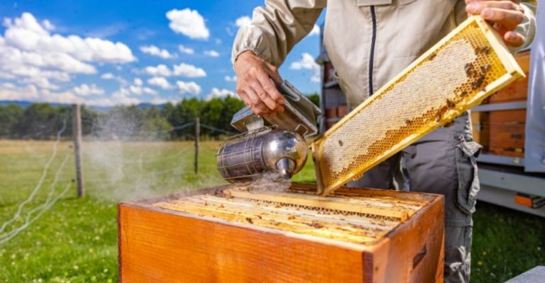 Confía en estudios como el de Profeco; protege tu salud