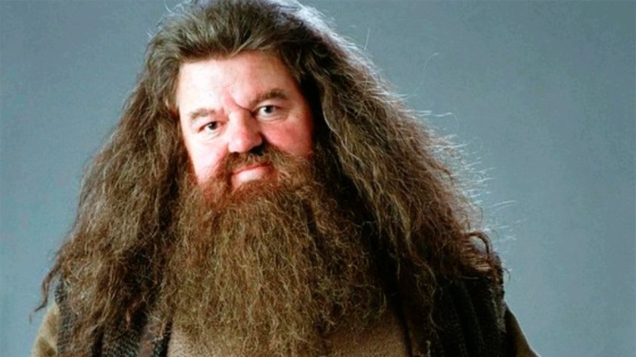 FOTO: Filtran imagen del nuevo ‘Hagrid’ para la versión de serie de ‘Harry Potter’