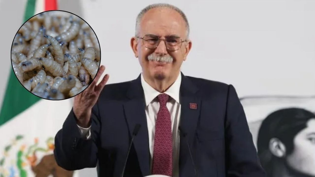 México y EU acuerdan plan para reanudar exportación ganadera, anuncia Julio Berdegué