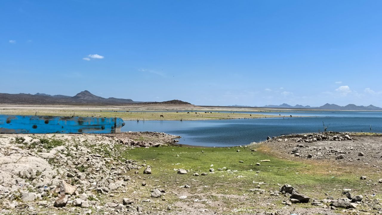 Proyecciones para próximo ciclo agrícola en Valle del Yaqui dependen de captación en el Oviáchic