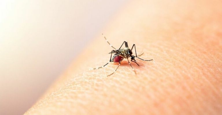 Suben los contagios en temporada de lluvias en Sonora