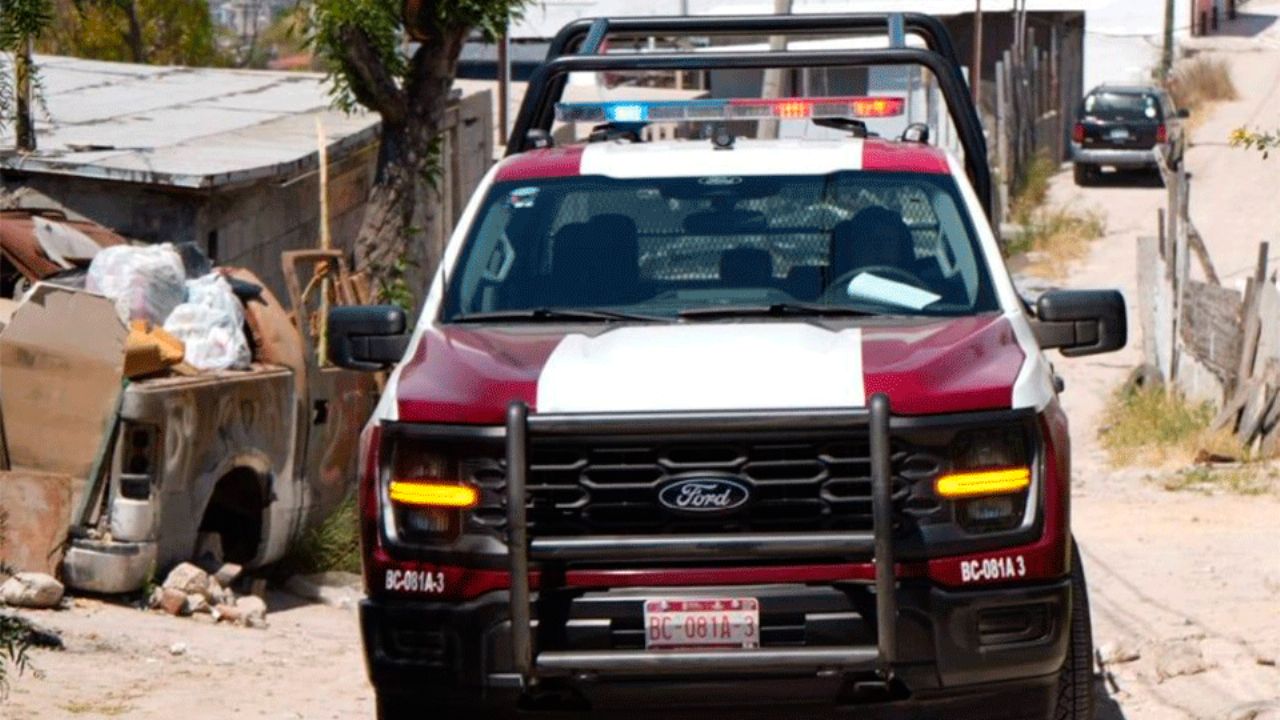 Hombre estrangula a cachorro en El Florido, Tijuana; vecinos exigen justicia