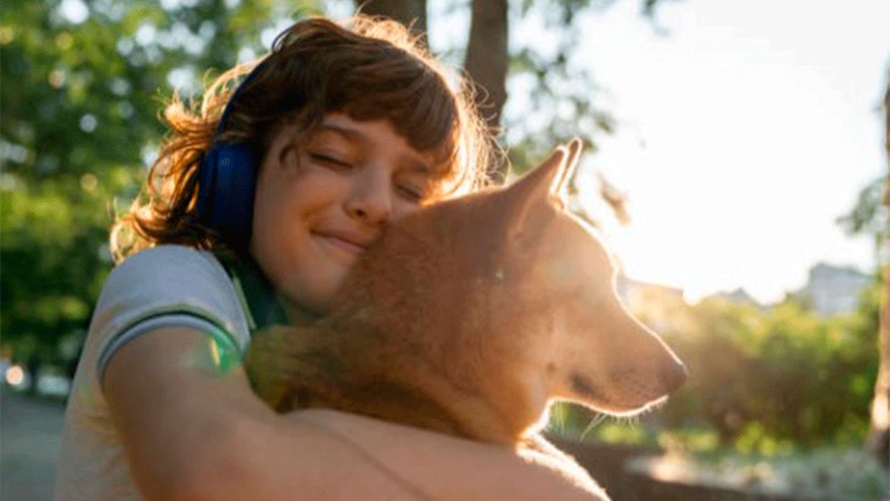 Día Mundial del Perro: Conoce el origen y significado de esta fecha especial