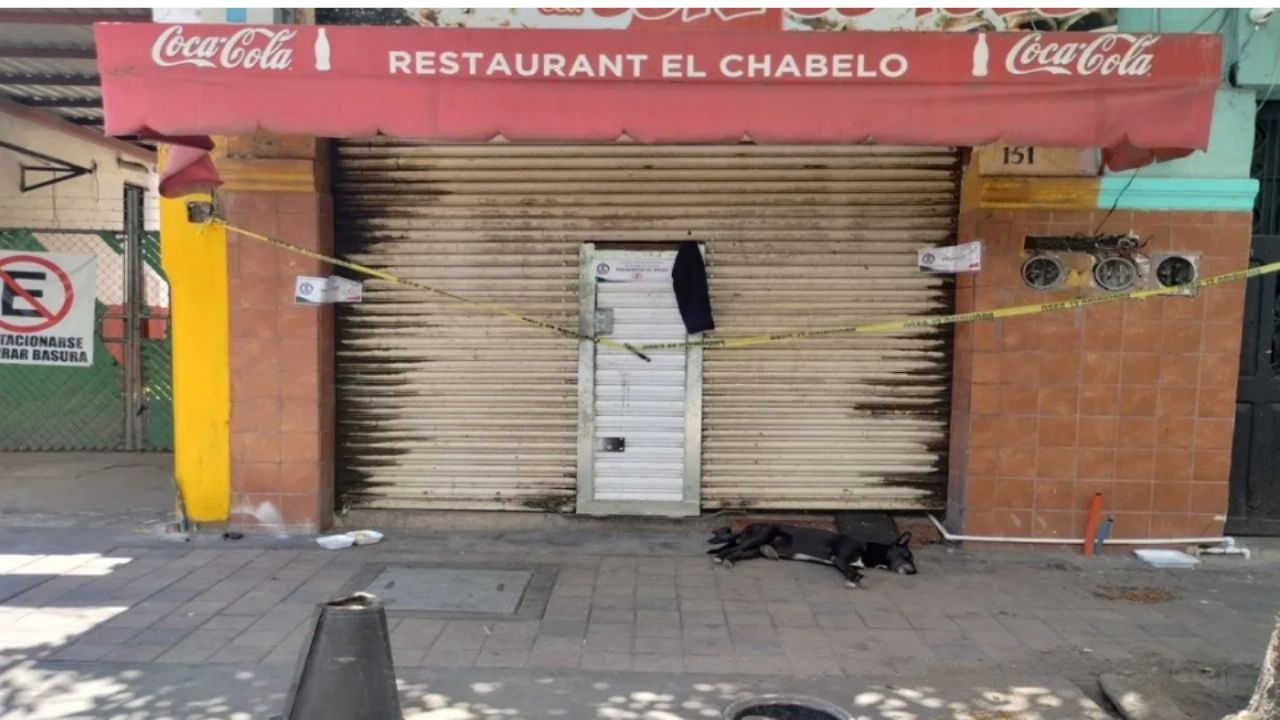 El ‘Hachiko de Culiacán’: Perrito espera a su dueño frente a negocio donde fue asesinado