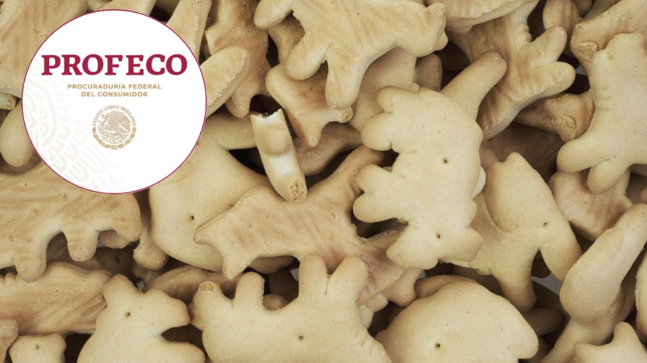 ‘Menos azúcar’: estas son las galletas que la PROFECO recomienda consumir