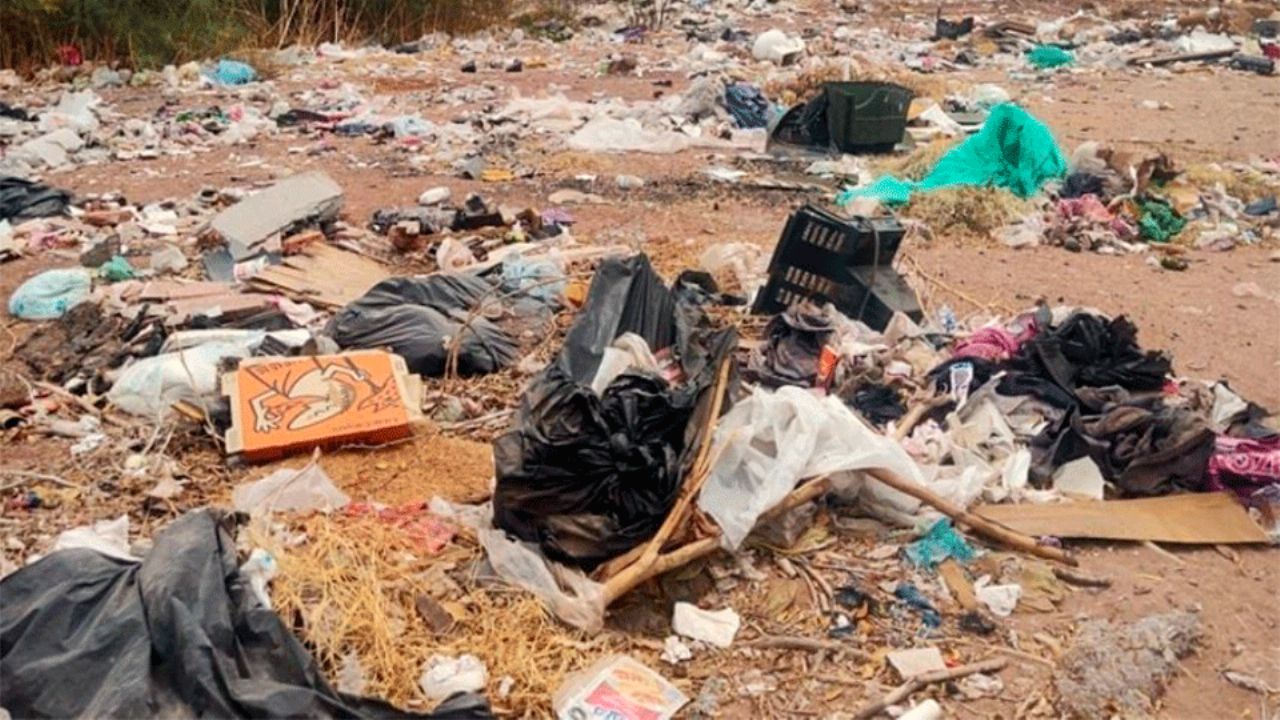 ‘Cochinones’ hacen que Cajeme gaste 28 millones de pesos al año: Javier Lamarque