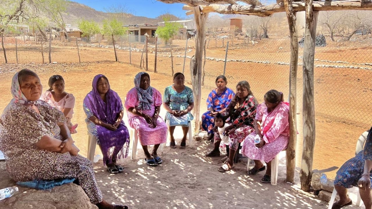 Álamos: Etnia guarijía aprovecha las lluvias para generar empleo