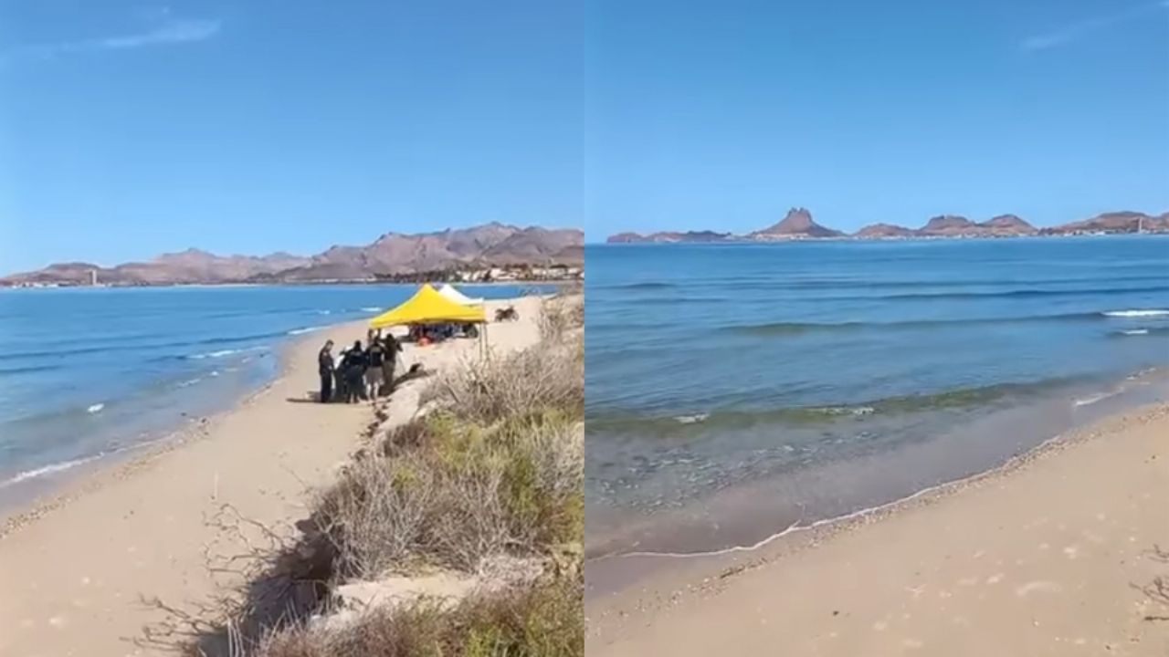 Macabro hallazgo en San Carlos: Acuden a playa de Sonora y hallan restos humanos frente al mar