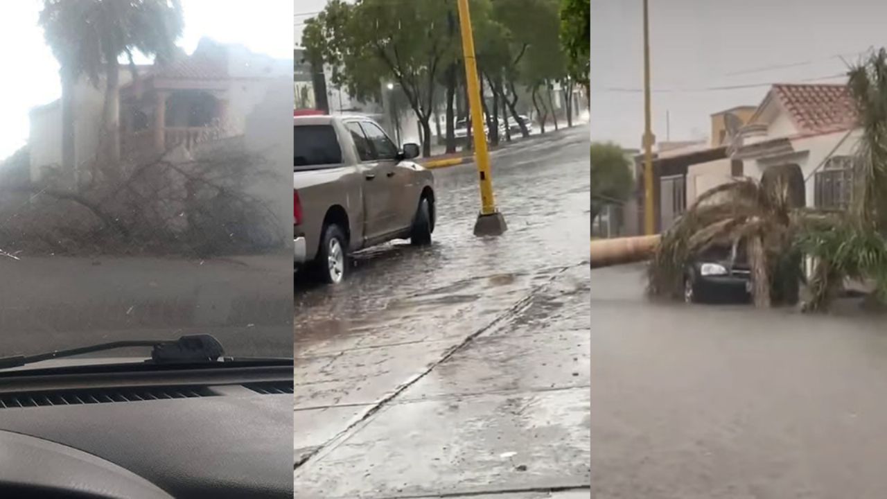 ¡Ciudad Obregón bajo el agua! Por intensa lluvia se registran ocho árboles caídos