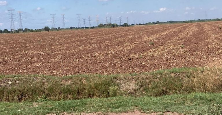 Las siembras pueden verse paralizadas