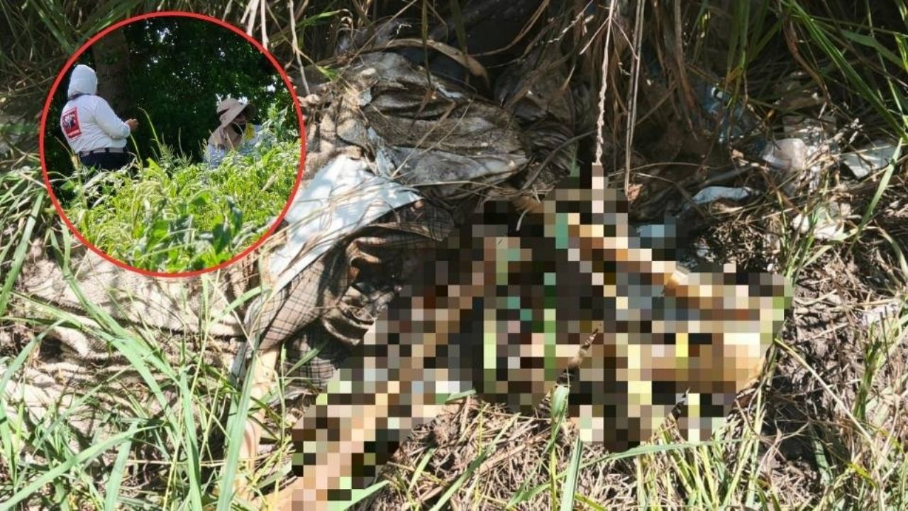 Macabro hallazgo: Localizan una osamenta humana en un campo al sur de Culiacán