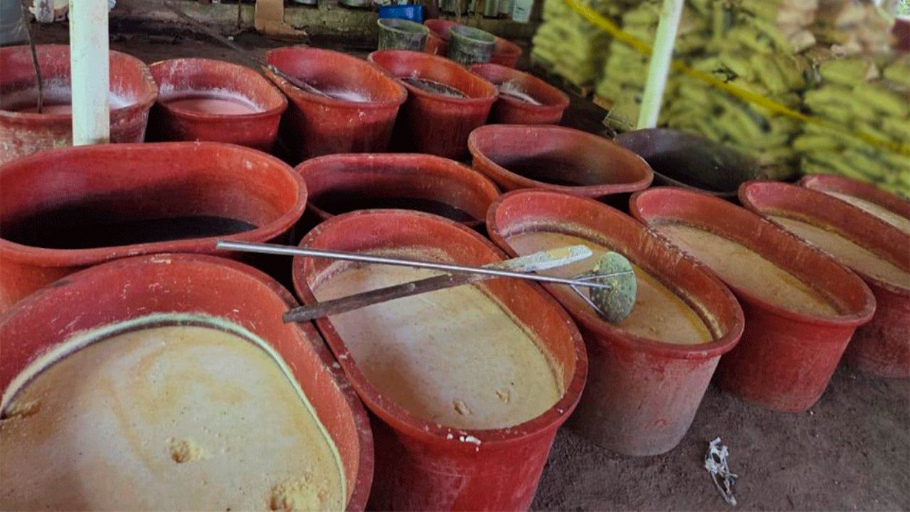 Operativos en Chiapas y Guerrero dejan decomiso de más de 6 toneladas de droga y químicos