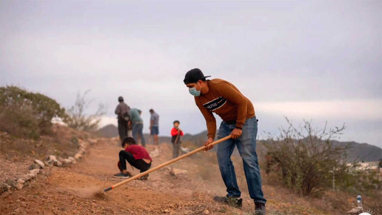 Hermosillo: Piden replantear la estrategia de arborización por vegetación seca