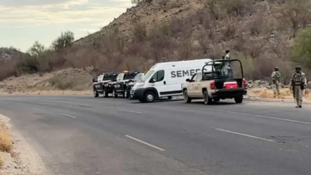 Terrible hallazgo: Encuentran cuerpo putrefacto y colgado de árbol en monte de Empalme