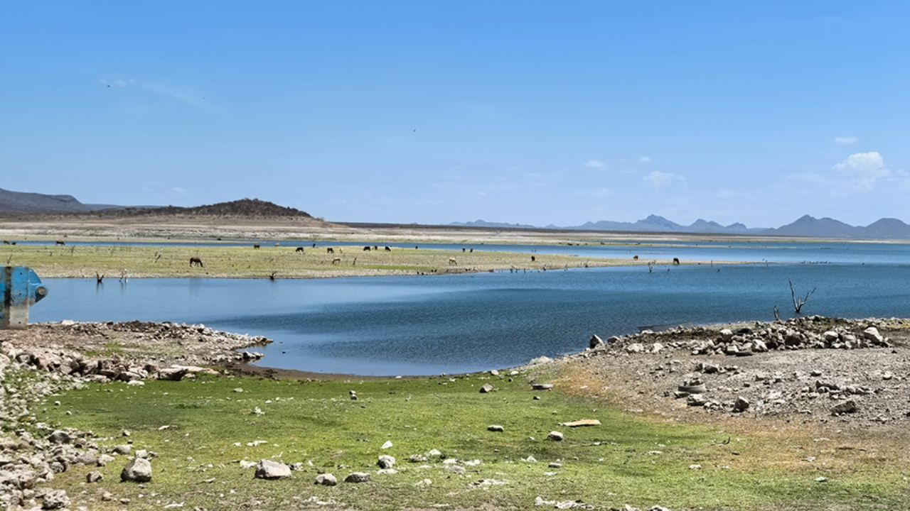 Ante autoridades, productores del sur de Sonora insisten en declaratoria de desastre natural por la sequía