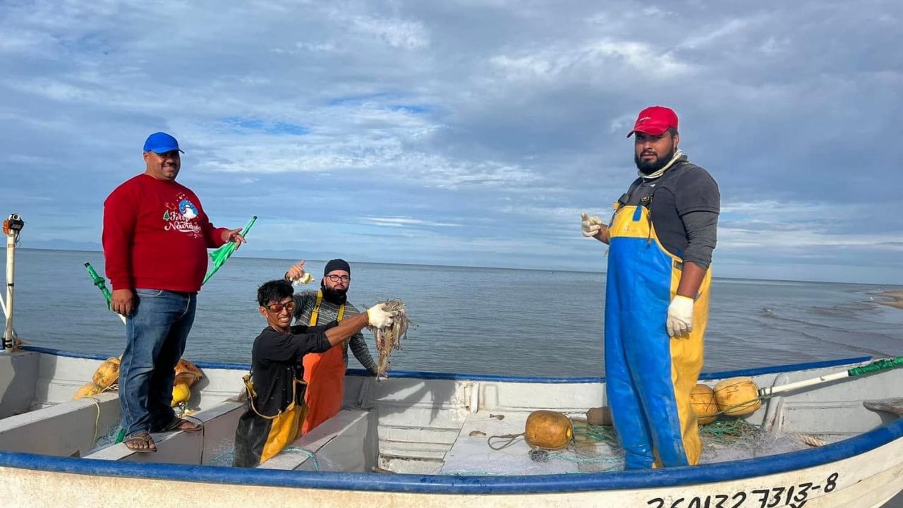 Pescadores del sur de Sonora piden adelantar fechas para la pesca de camarón