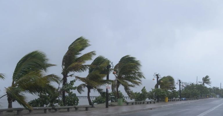 Posibles impactos en el Caribe y Estados Unidos