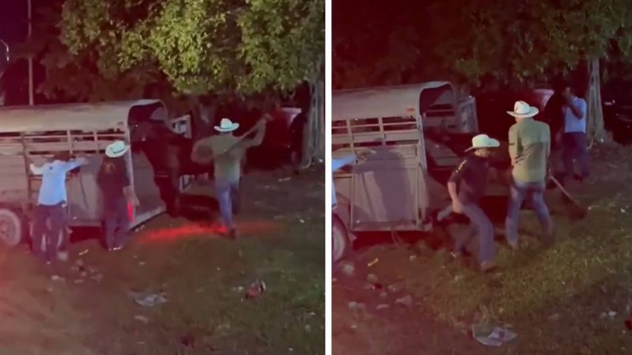 VIDEO: Golpean salvajemente a un caballo al término de una cabalgata en Quintana Roo