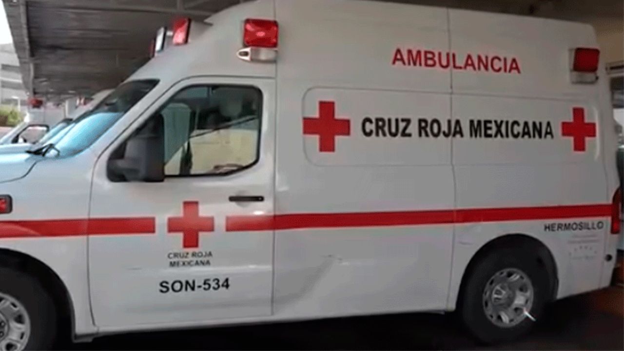 Sonora enfrenta nuevos casos de rickettsiosis; dos personas pierden la vida