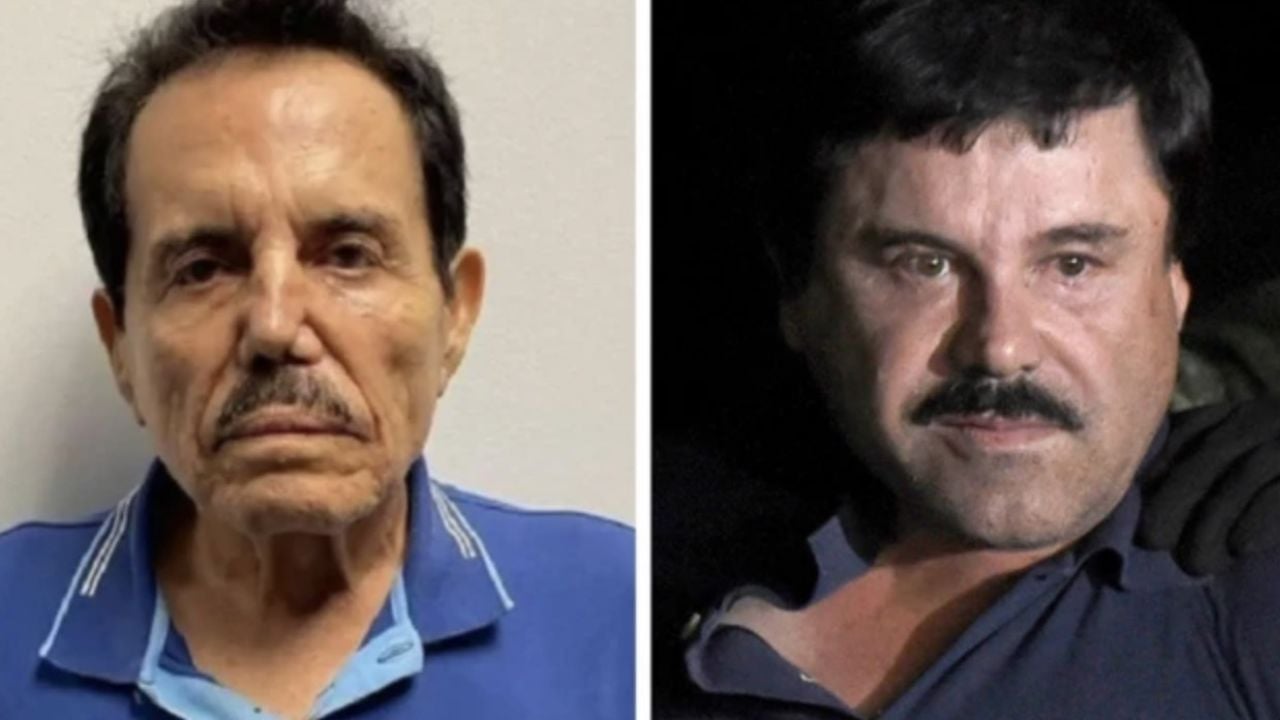 García Harfuch: Cártel de Sinaloa sigue activo pese a caída de ‘El Mayo’ y ‘El Chapo’