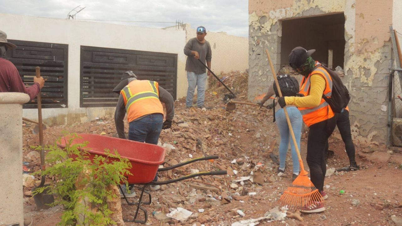 Ayuntamiento de Guaymas emprende programa de limpieza de casas abandonadas